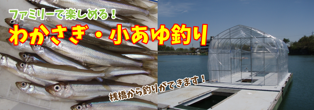 関西でワカサギ釣りができるスポット8選 初心者でも家族でも Comolib Magazine